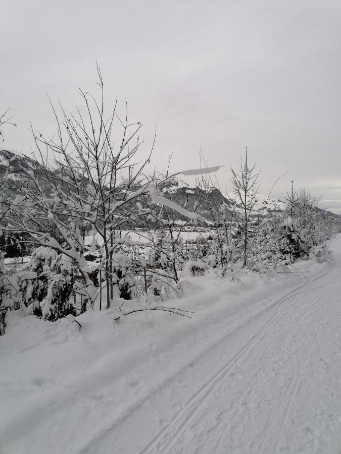 Ferienwohnungen Vordergriess Hochfilzen Eksteriør bilde
