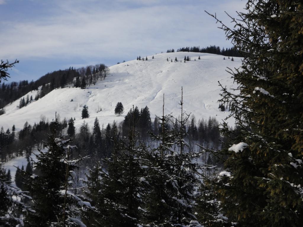 Ferienwohnungen Vordergriess Hochfilzen Eksteriør bilde