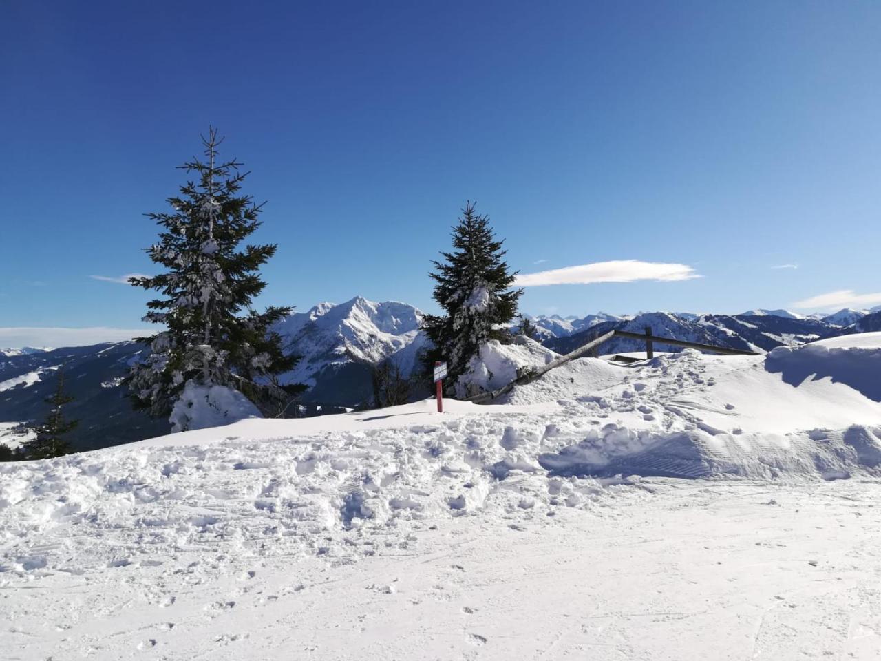Ferienwohnungen Vordergriess Hochfilzen Eksteriør bilde